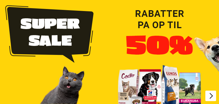 Super Sale HP DK